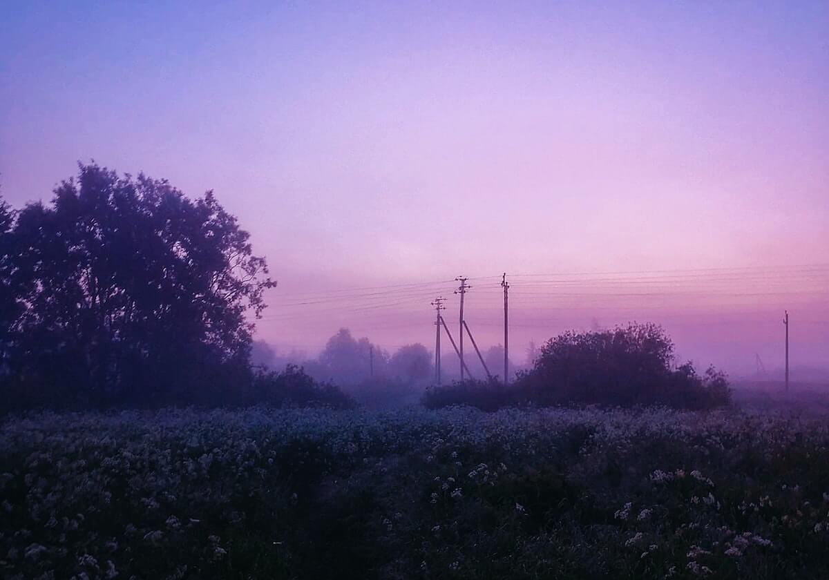 爱游戏官网-德约科维奇：饮食模式改变网球生涯